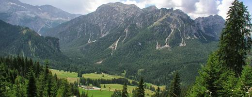 asterbel-von-oben-wandern-allwarstein